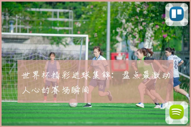 世界杯精彩进球集锦:盘点最激动人心的赛场瞬间